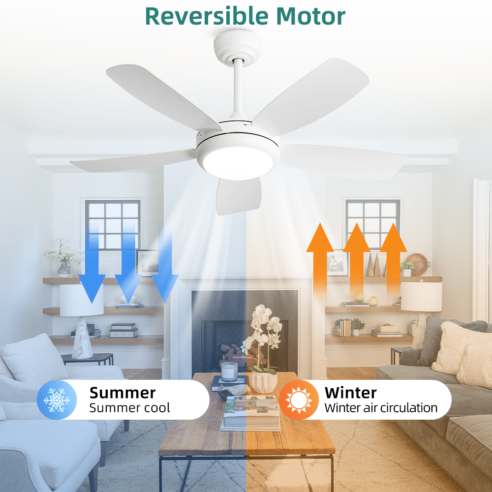 พัดลมเพดาน Sofucor ขนาด 42 นิ้ - Ceiling Fan Dc Motor 52 Inch บทวิจารณ์และราคา